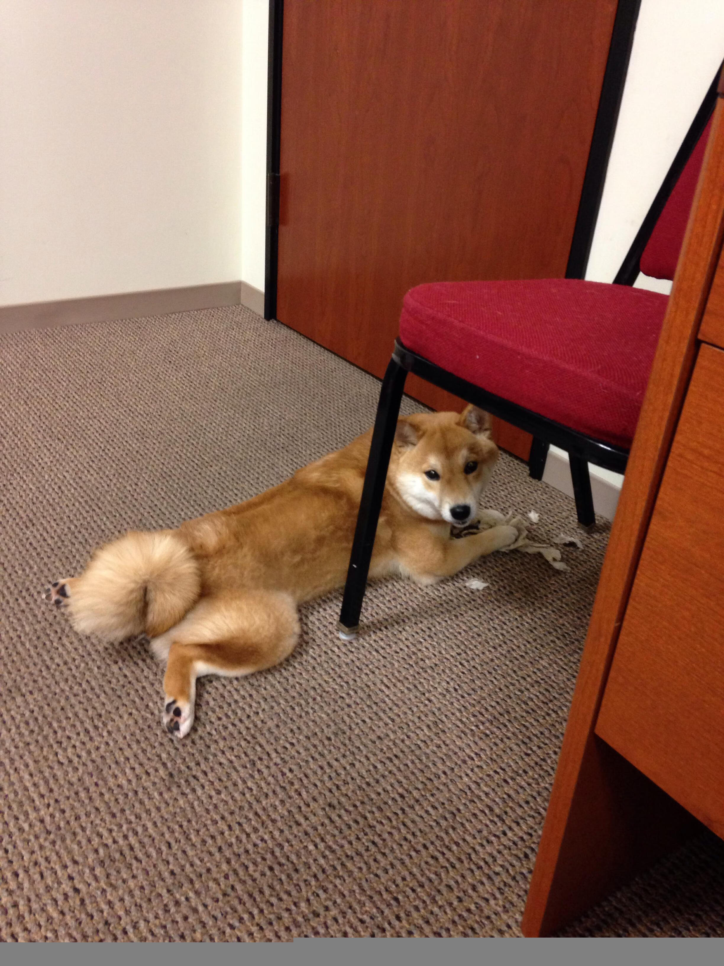 爱游戏娱乐平台-中超南北大战火花四溅，球迷场外热情助威，中超北方球队有哪些