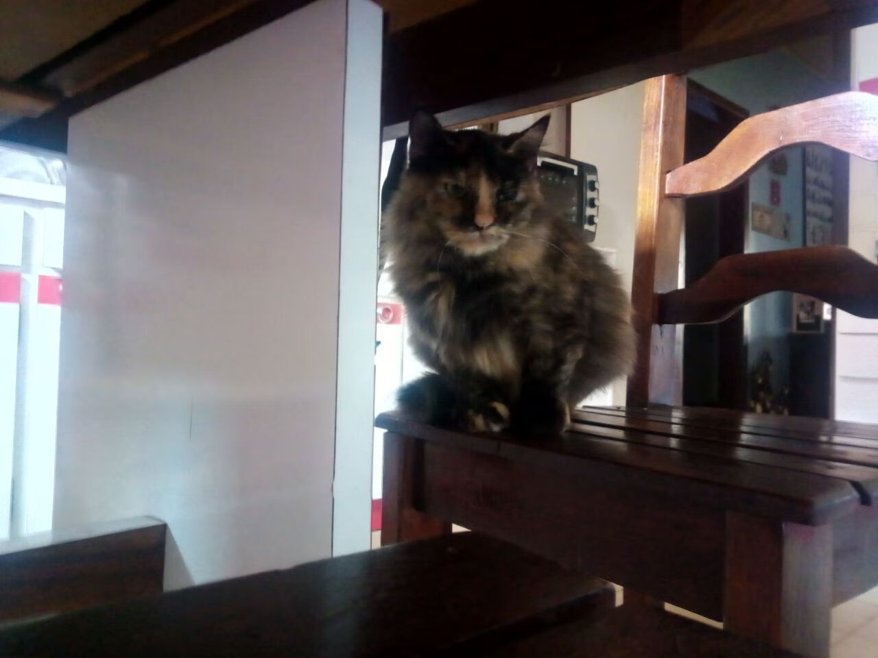 爱游戏体育官方网站-传统体育与电竞融合：新合作推动行业迈向多元化发展，传统体育与电竞的区别