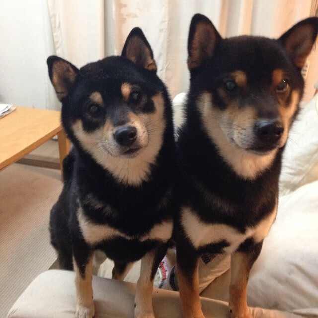 车迷文化:不同国家的赛场习俗,赛车比赛叫啥