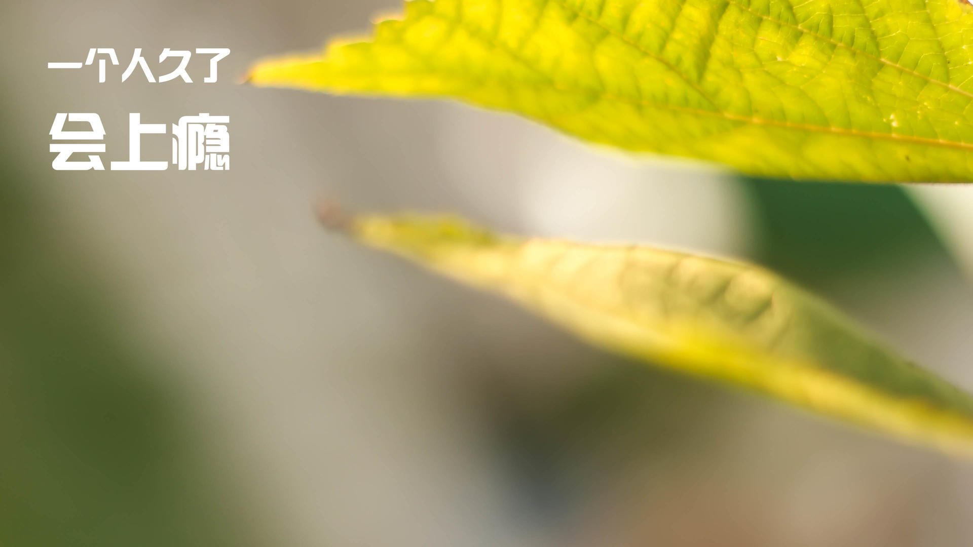 AYX体育官网-青训产业化趋势明显，专项资金支持项目持续增加，青训管理