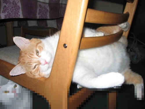 LCK联盟推广电竞运动员心理健康管理体系,电子竞技运动员心理指导培养方案