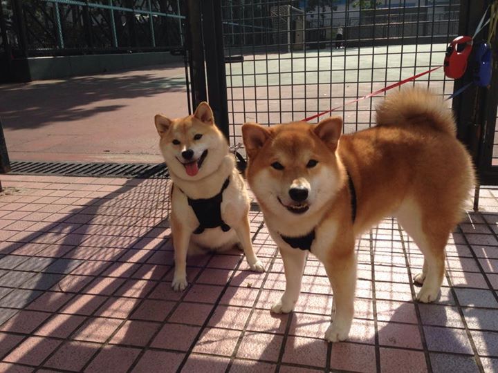 几内亚火力全开唱响胜利之歌,几内亚国歌