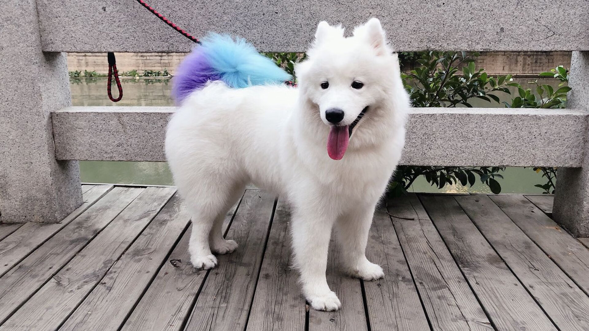 备战如火如荼,女足比赛球队士气高涨,女足安排