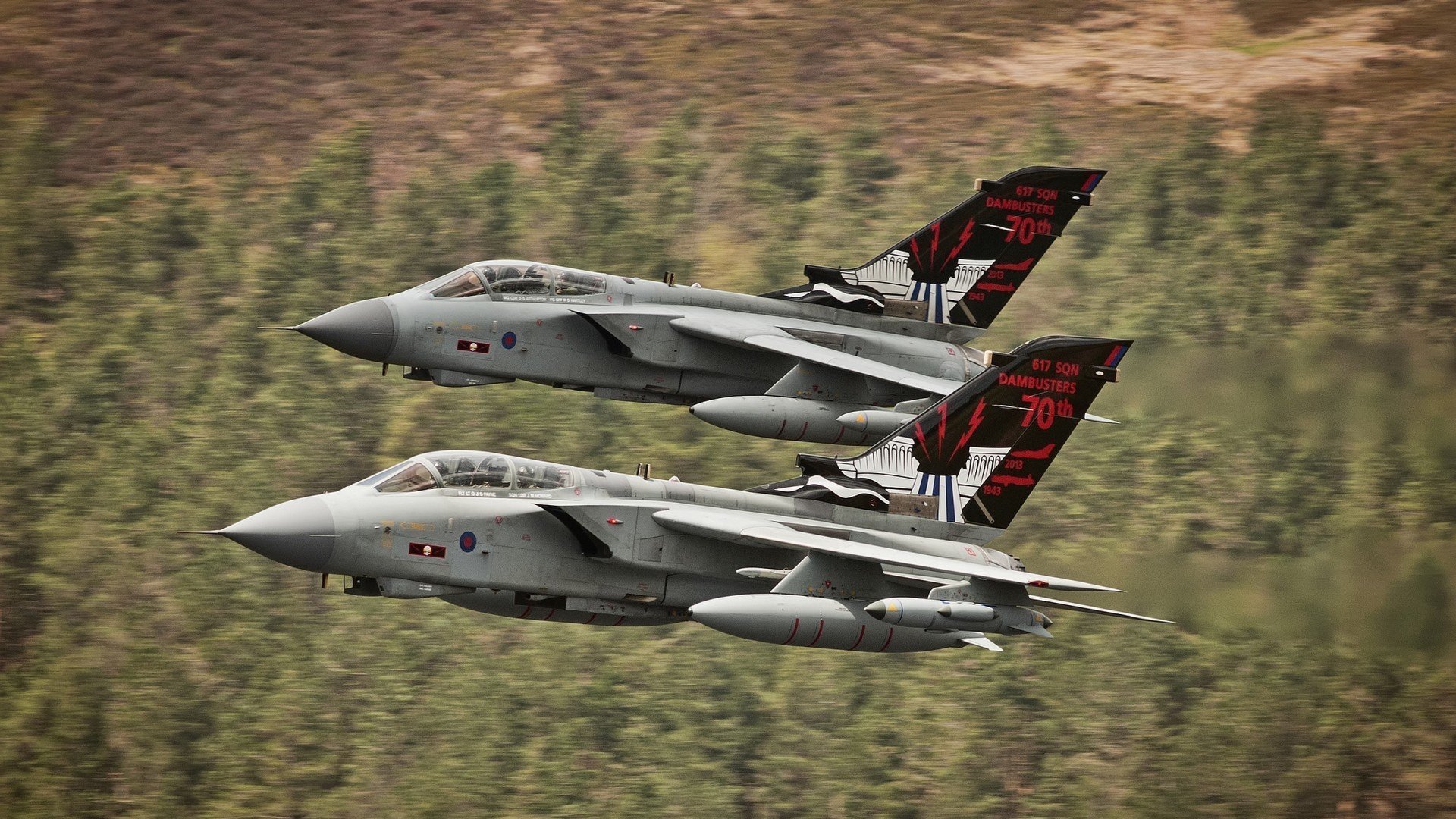 女足世界杯备战热烈,教练团队部署细致,女足世界杯队员