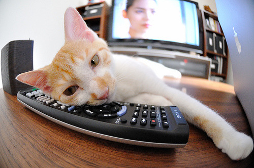 德国国家队击败强敌，锁定欧洲杯席位，德国国家足球队欧洲杯名单