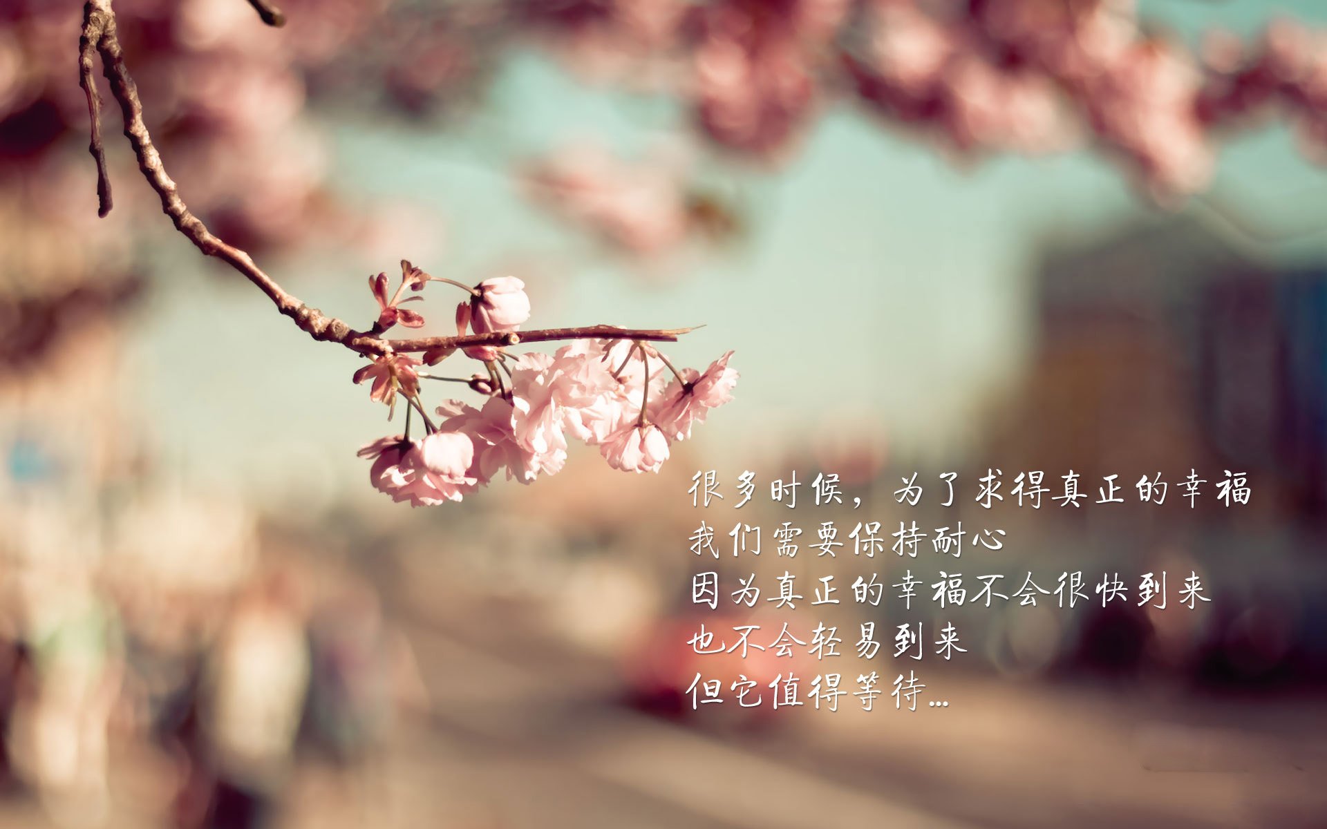 拜仁连续胜利,法兰克福主场大战将带来怎样的惊喜?,法兰克福5_1拜仁