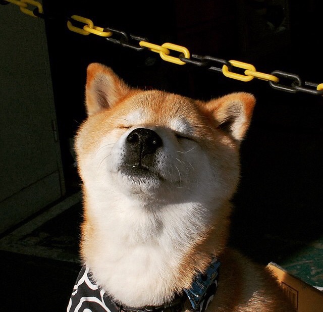 拜恩斯将成为曼联新队长,球迷期待发挥更好,拜仁致敬曼联