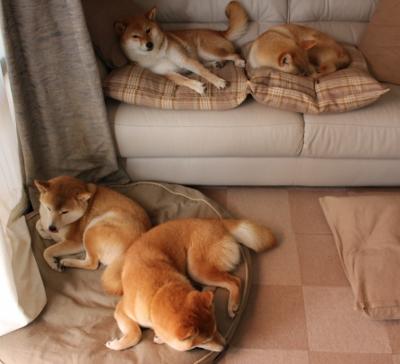 电竞主播个人品牌建设及跨界合作案例分析，电竞主播个人品牌建设及跨界合作案例分析