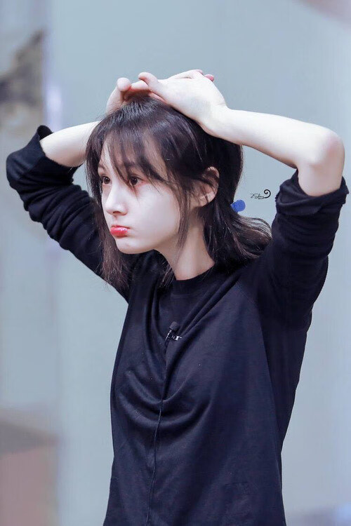 AYX体育官网-福建豹发力外援组合战绩显著，福建豹发力阵容