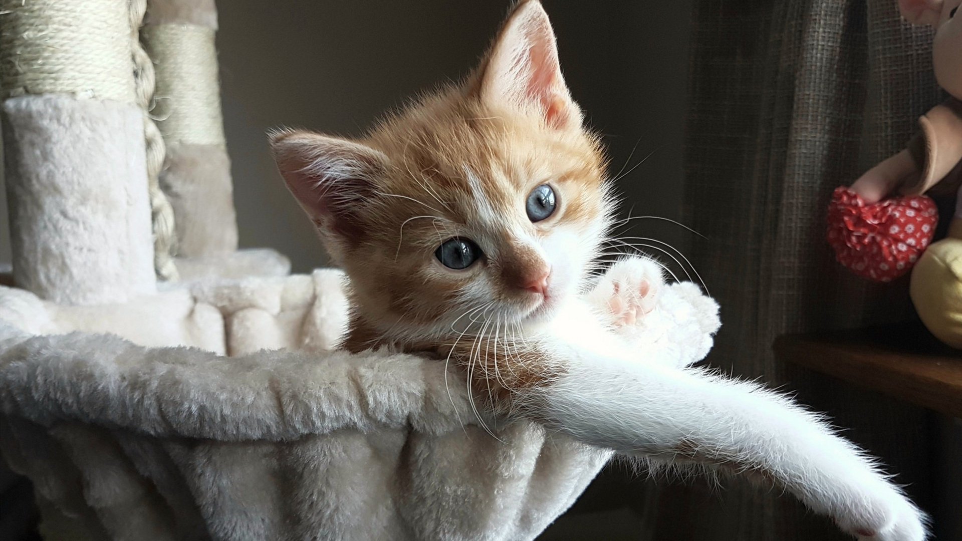 AYX GAME-罗瑟汉姆防守密不透风，米勒人稳定发挥，罗瑟汉姆vs米德尔斯堡