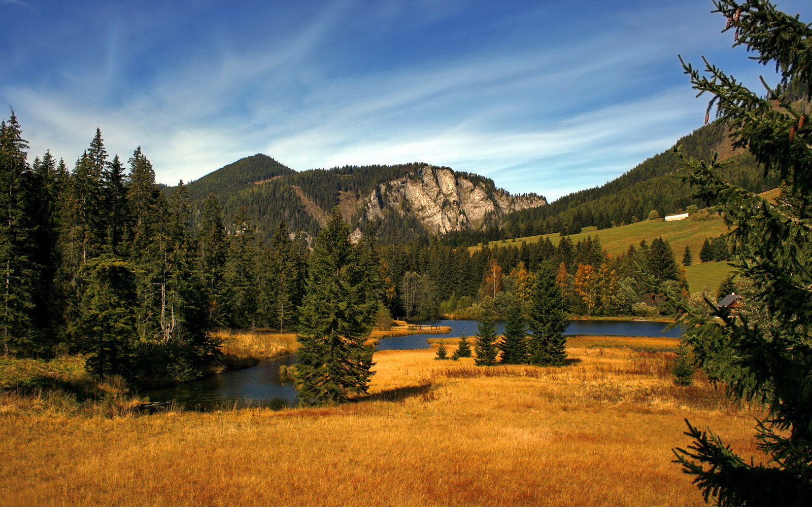 足球文化传播是否应从校园足球入手,足球文化传承