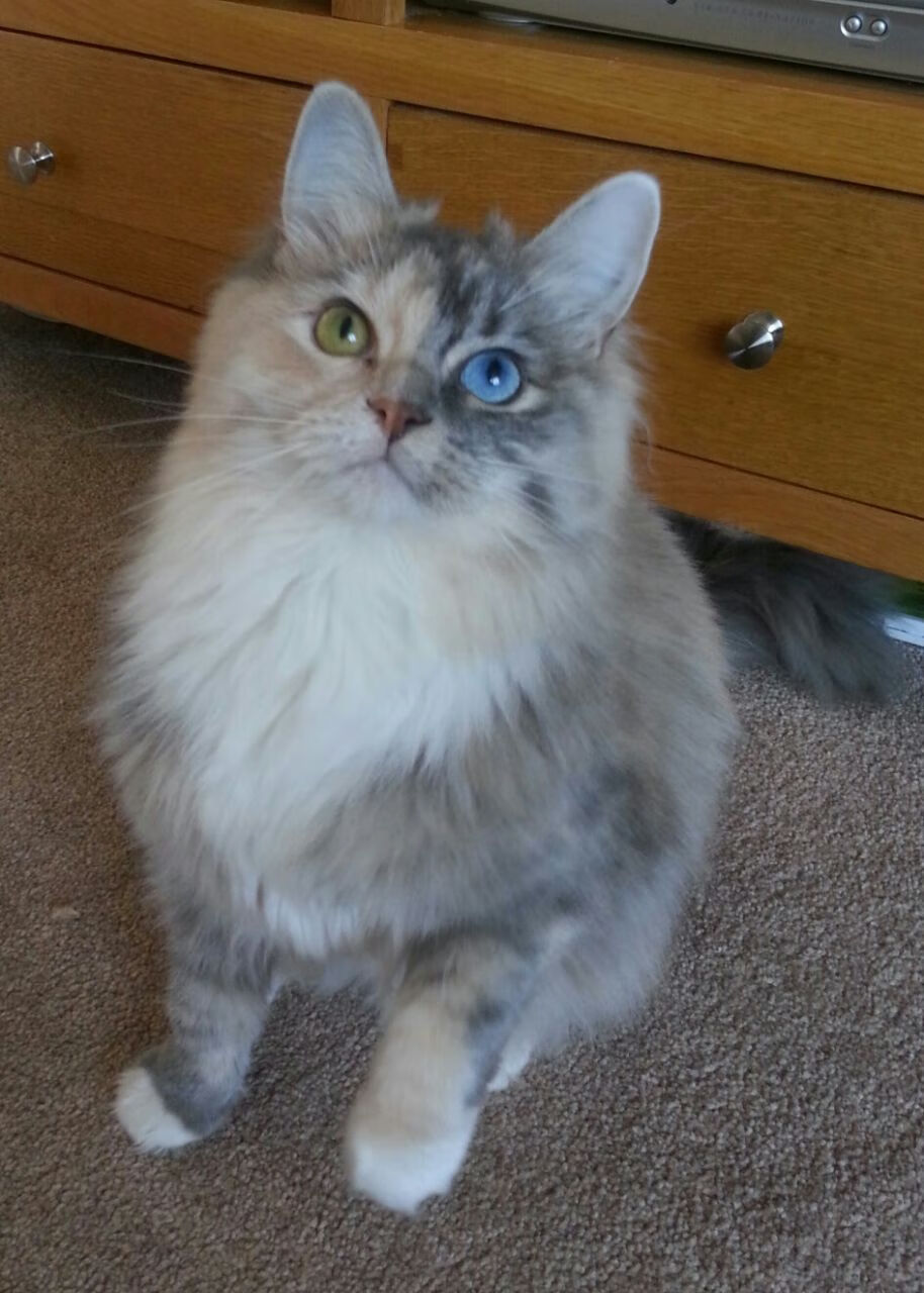 NBA赛季关键比赛复盘总结,nba复赛赛程安排季后赛