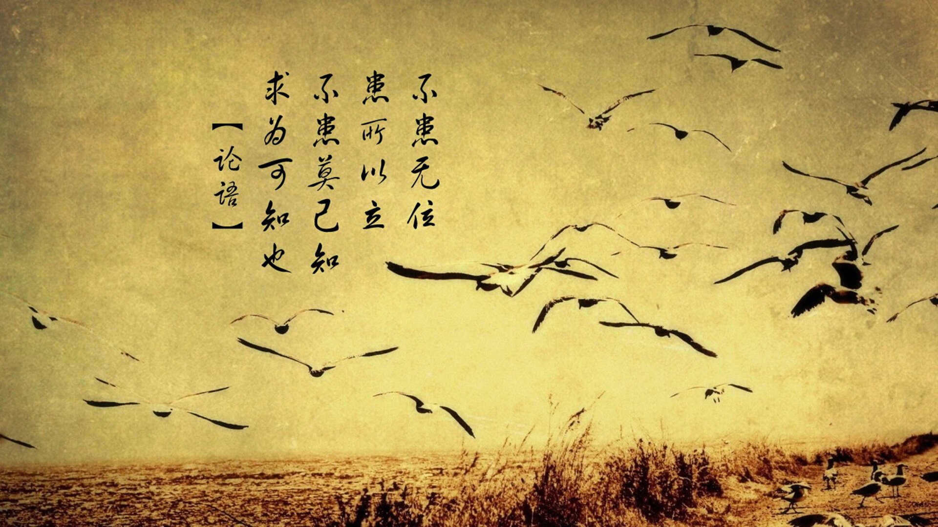 中国篮球职业联赛裁判员执法规范建设，篮球裁判员执裁案例测试题