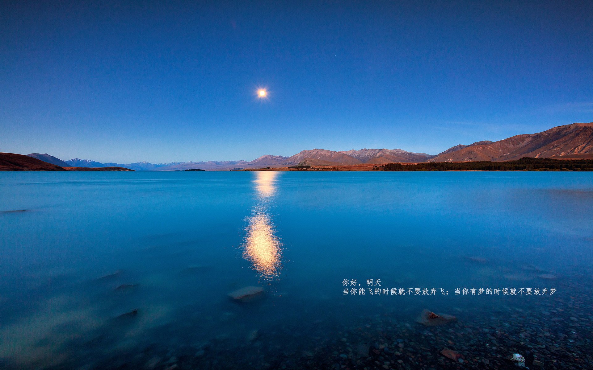 热那亚球员状态回暖抢分势头强劲，热那亚球员名单