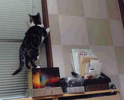 中甲球队采用无人机记录训练提升复盘角度多样性,2020无人机国家队选拔赛