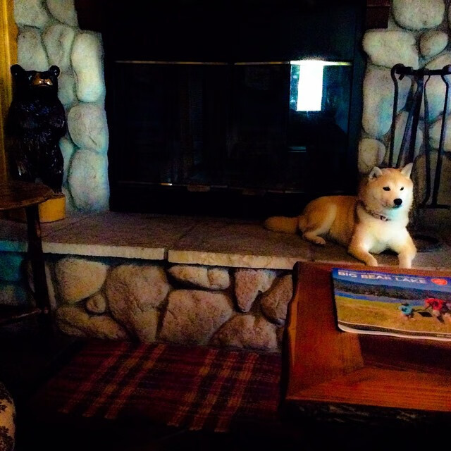 战术演练细节精密提升配合默契最大限度压缩对手空间,战术综合演练解说词