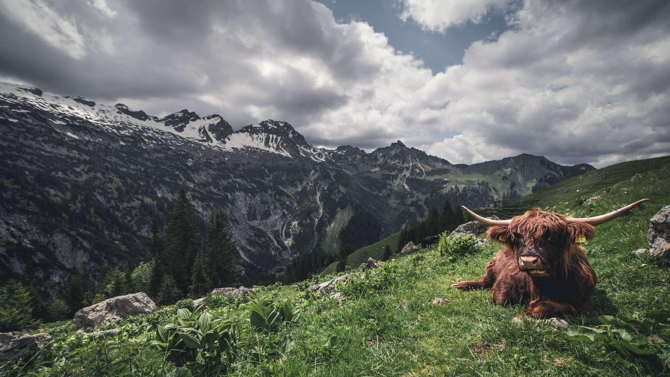 球员自主品牌服饰发布体现运动与时尚多维融合趋势,球员球衣销售排名