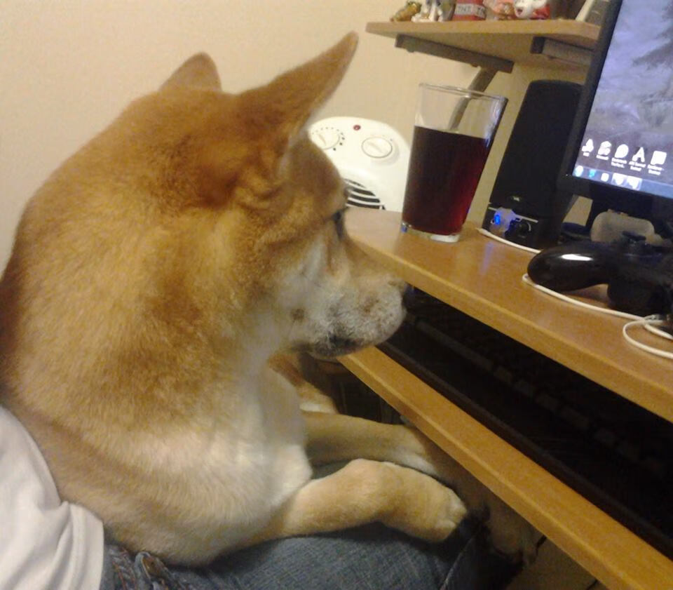 米切尔投篮姿势优化手感明显改善,米切尔投篮教学