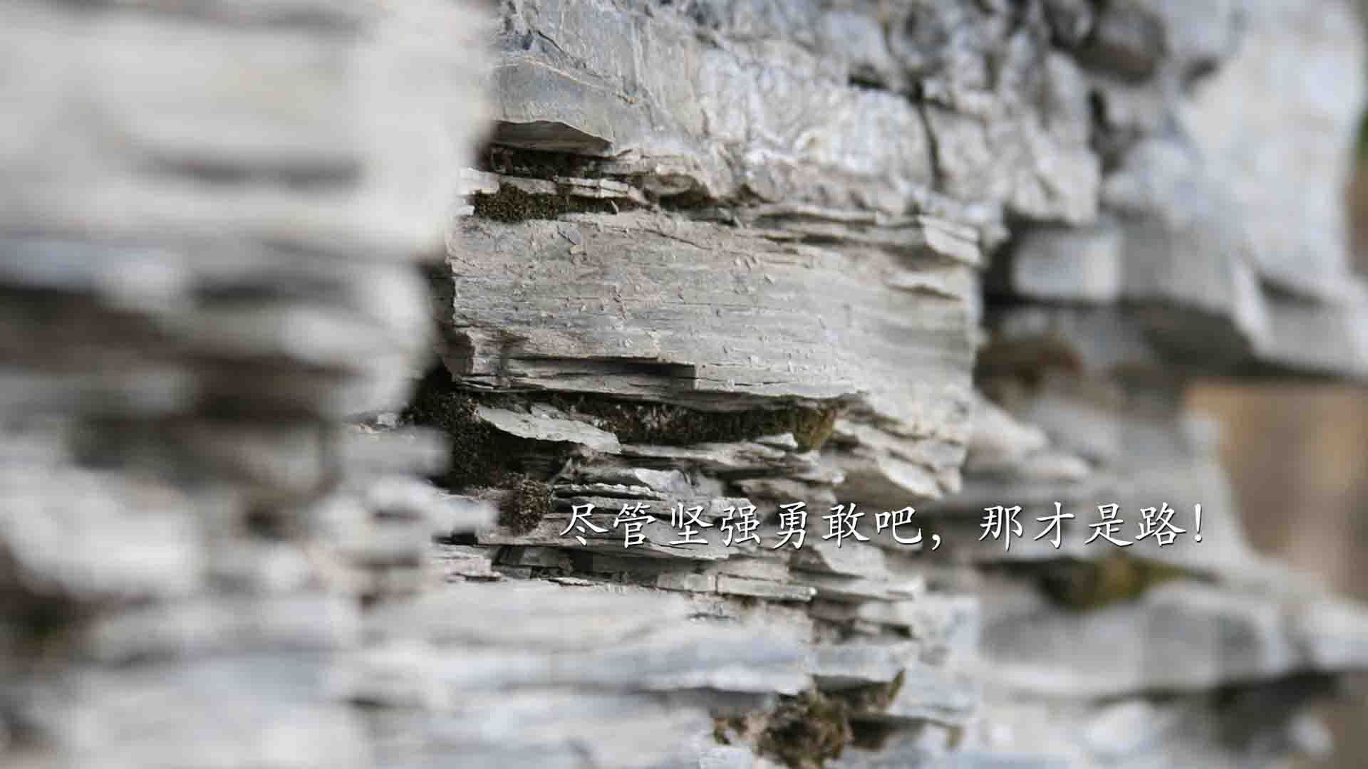 职业联赛开展球员心理健康讲座促进身心健康,足球心理训练对于青少年球员产生的影响