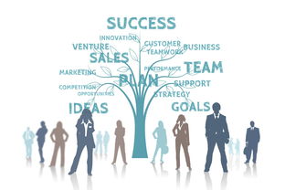 爱游戏娱乐-NBA球队战略规划分析,nba比赛球队